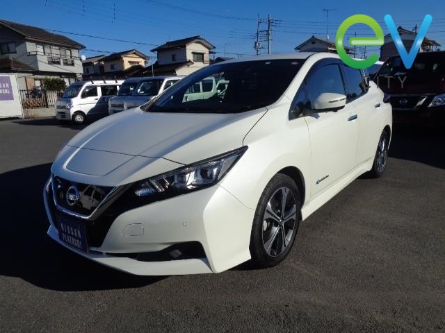 2019 Nissan LEAF