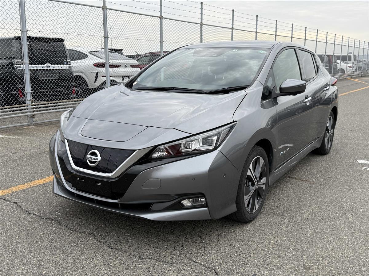 2018 Nissan LEAF