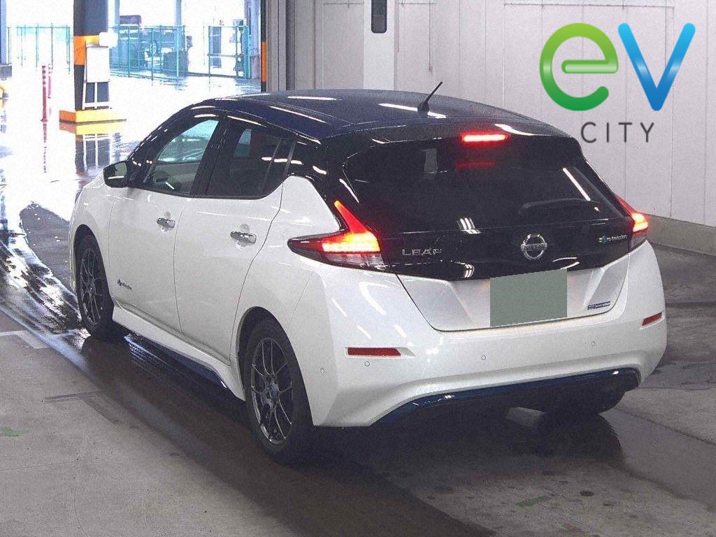 2018 Nissan LEAF