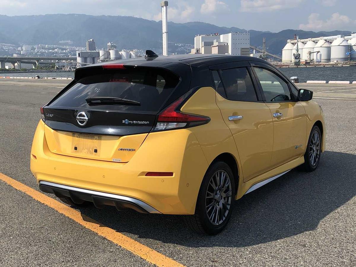 2020 Nissan LEAF