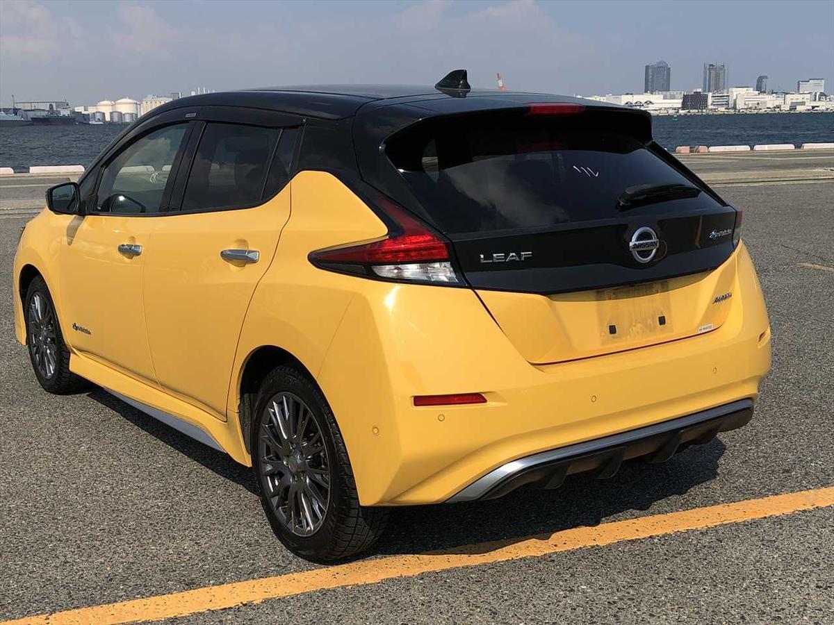 2020 Nissan LEAF