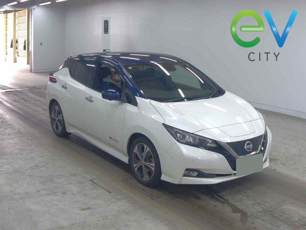 2018 Nissan LEAF