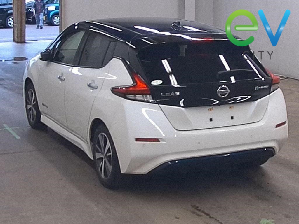 2020 Nissan LEAF