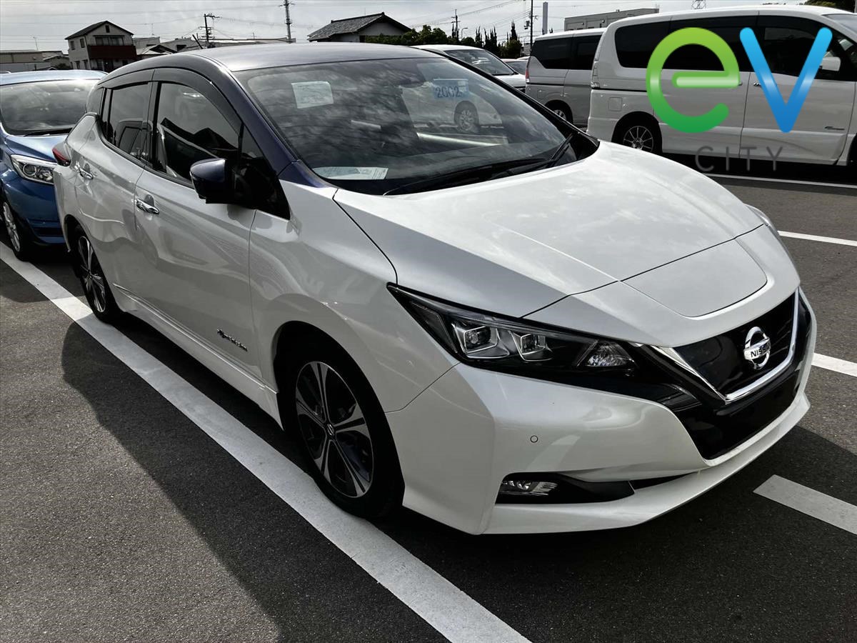 2019 Nissan LEAF