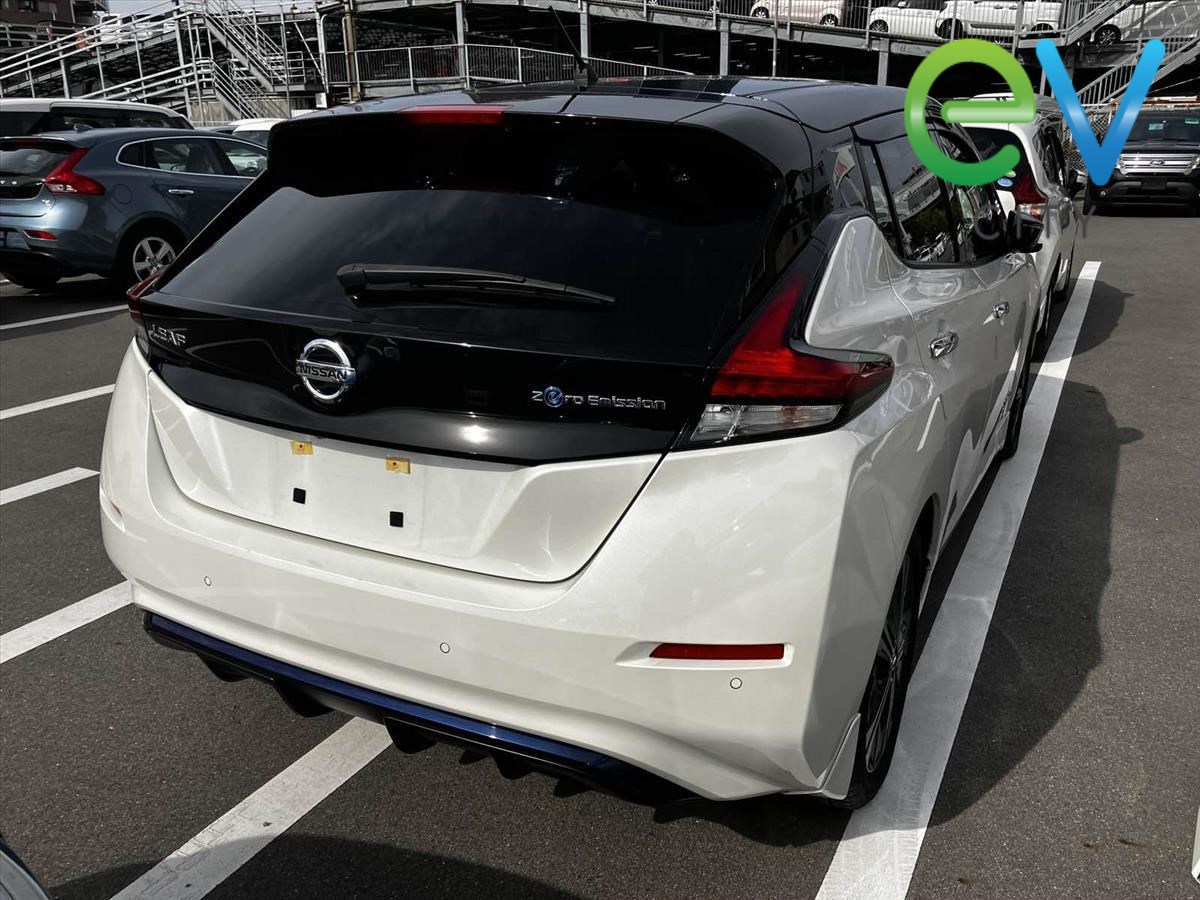 2019 Nissan LEAF