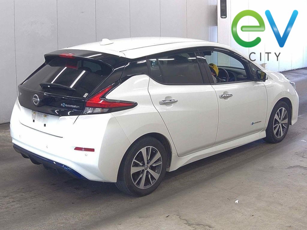 2019 Nissan LEAF