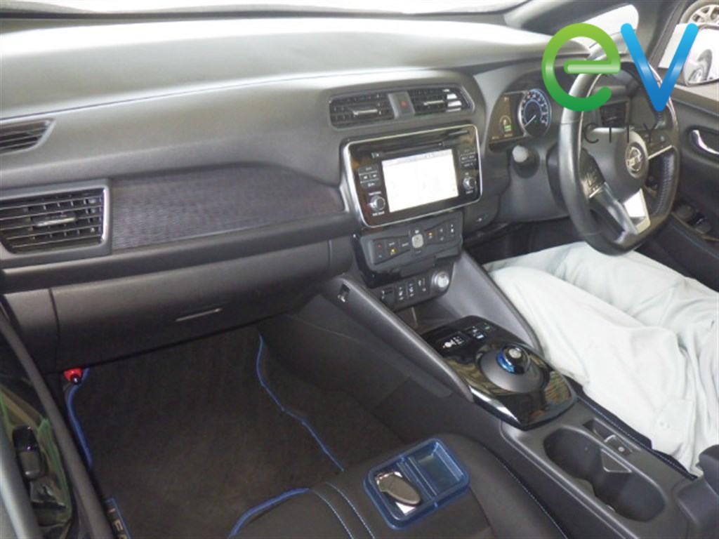 2019 Nissan LEAF