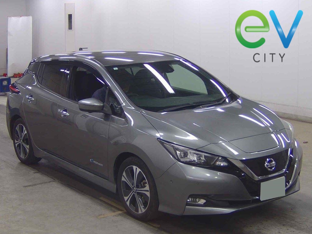 2019 Nissan LEAF