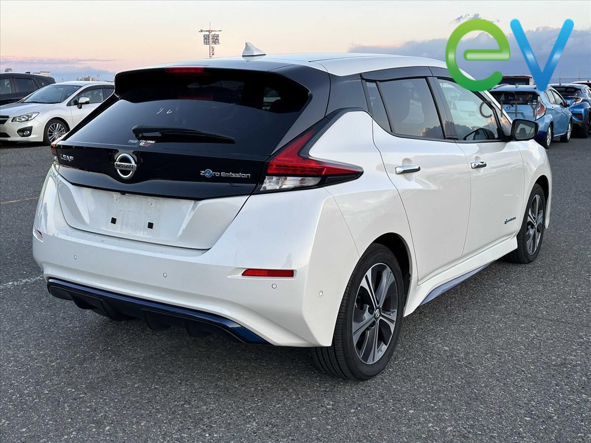 2019 Nissan LEAF
