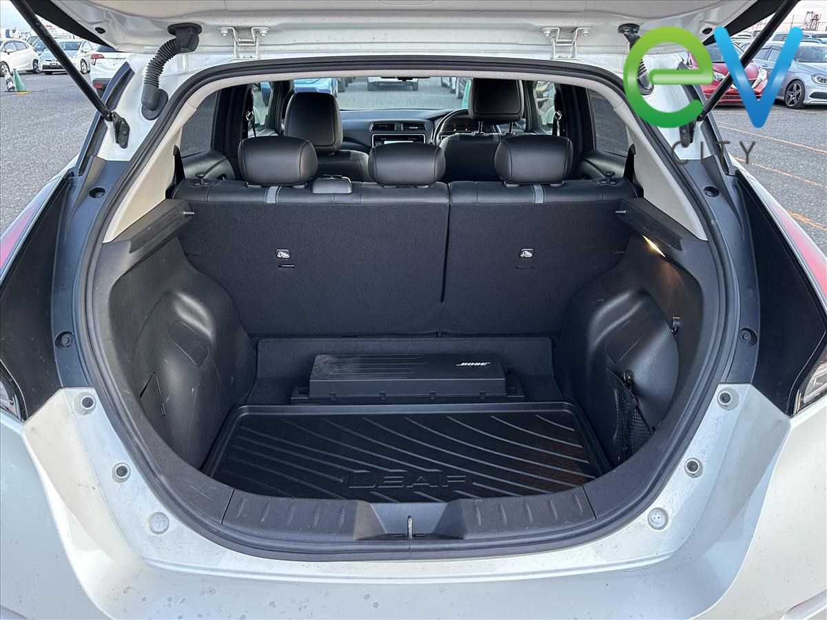 2019 Nissan LEAF