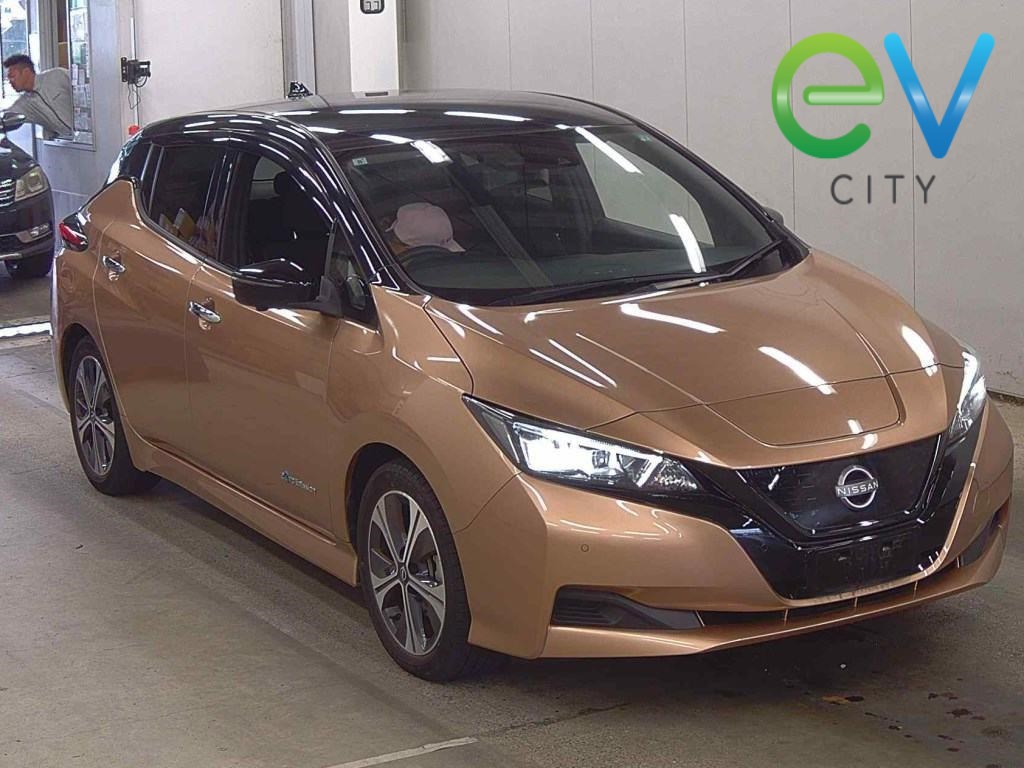 2021 Nissan LEAF